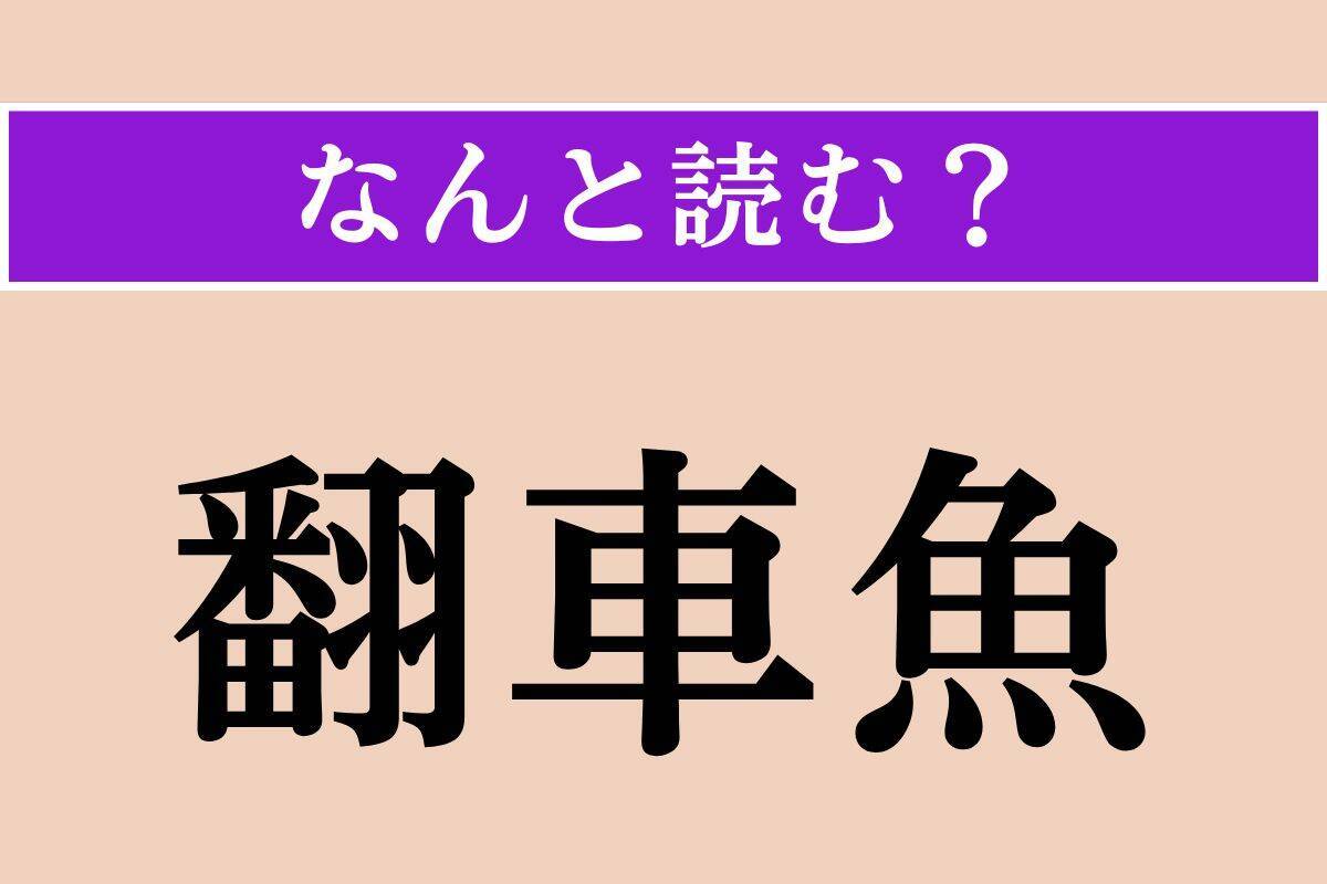 【難読漢字】「翻車魚」正しい読み方は？ どの魚だろう…