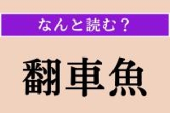 【難読漢字】「翻車魚」正しい読み方は？ どの魚だろう…