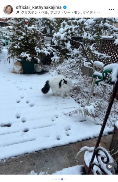 キャシー中島、雪の東京で猫たちと孫娘が雪遊びを満喫