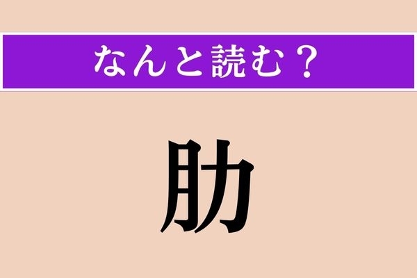 【難読漢字】「肋」正しい読み方は？ 硬いはずなのに意外にもろかったり…