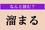 【難読漢字】「溜まる」正しい読み方は？ サービス問題！