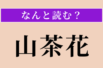 【難読漢字】「山茶花」正しい読み方は？ 童謡「たきび」にも登場する冬の花です