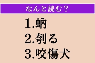 【難読漢字】「蚋」「刳る」「咬傷犬」読める？