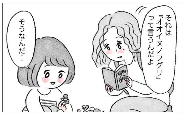 「あなたのためなら何だってしてあげる」娘に整形を勧めた母…支配が始まった日の真実とは？【漫画】