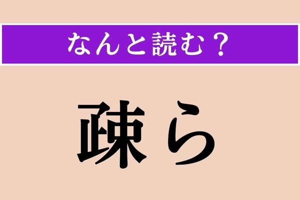 【難読漢字】「疎ら」正しい読み方は？「過疎」の意味を考えるとわかるかも