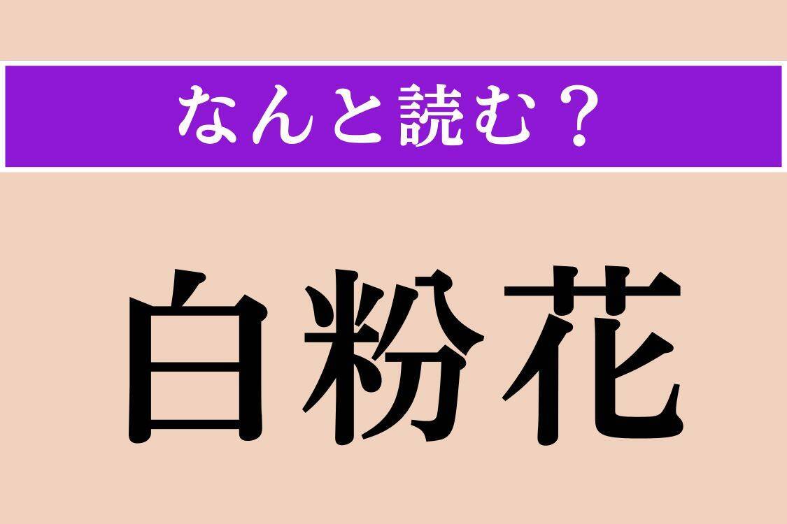 【難読漢字】「白粉花」「服膺」「内帑金」読める？