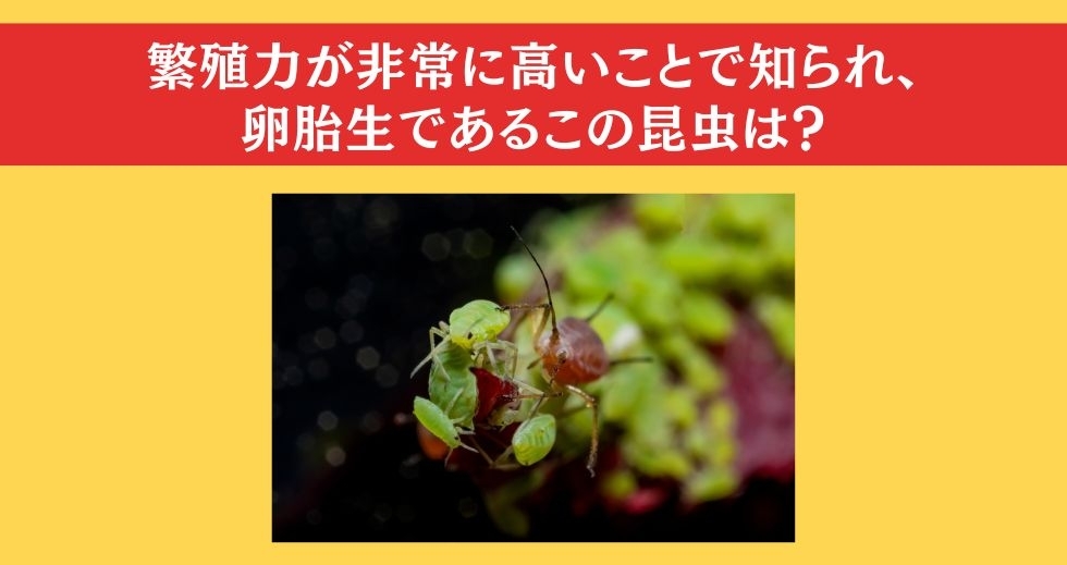 大人ならわかる？ 小学校の「理科」問題＜Vol.47＞