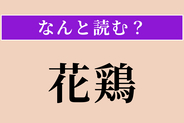 【難読漢字】「花鶏」正しい読み方は？ 秋に群れで渡ってくる小鳥です