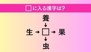 【穴埋め熟語クイズ Vol.4794】□に漢字を入れて4つの熟語を完成させてください