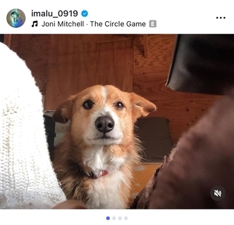 IMALU、同居犬アンバーとの別れを報告「最後は苦しまず眠るように」