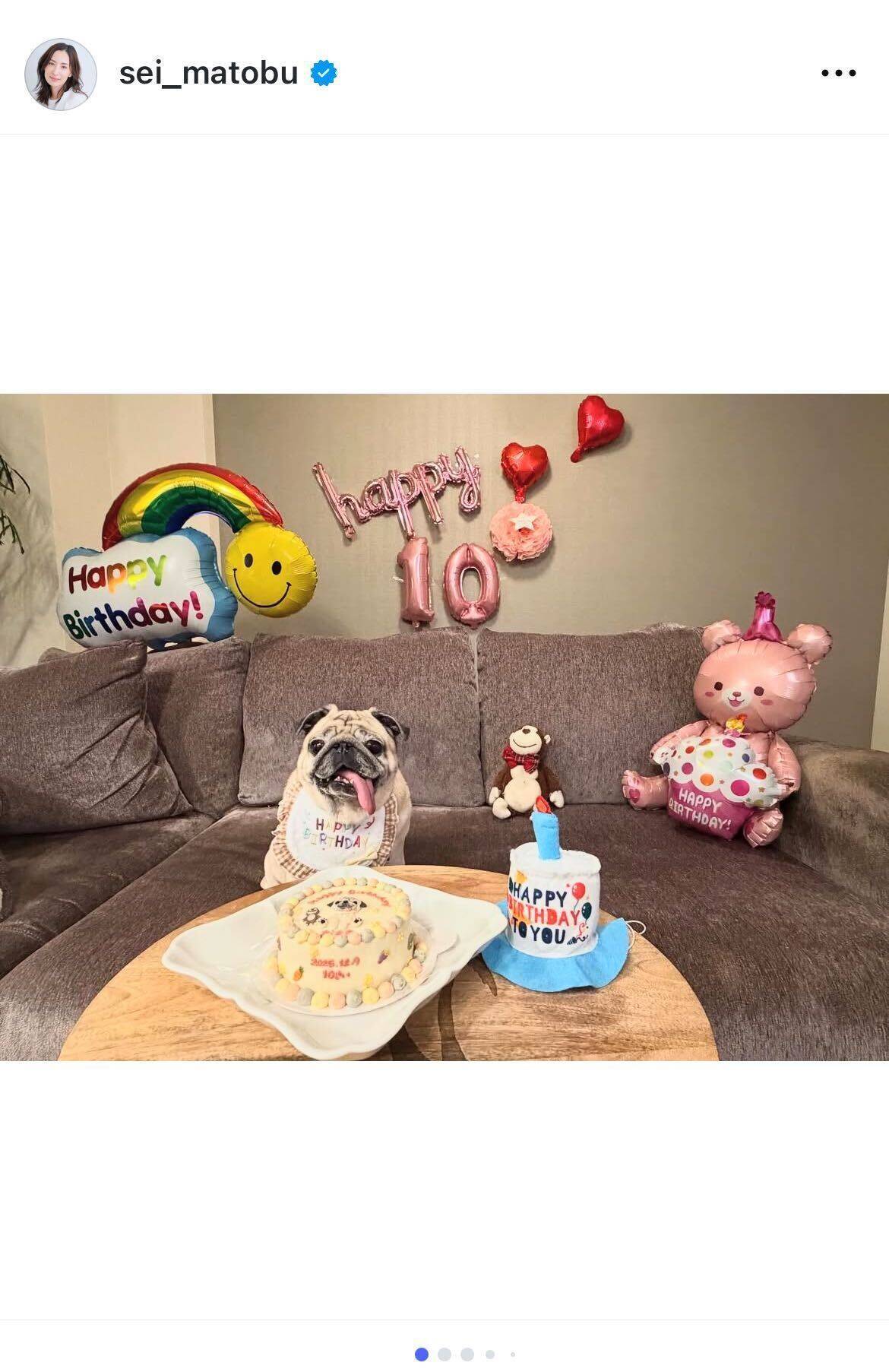 真飛聖、愛犬パグの10歳誕生日を手作りケーキで祝福「顔見てるだけで笑ってしまう愛おしい存在」