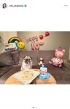真飛聖、愛犬パグの10歳誕生日を手作りケーキで祝福「顔見てるだけで笑ってしまう愛おしい存在」