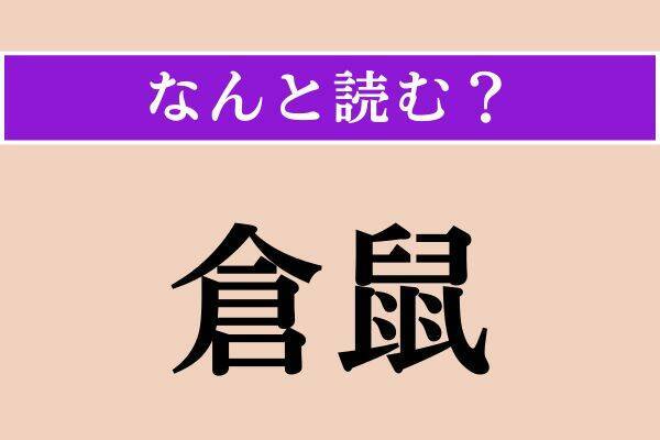 【難読漢字】「一昨昨日」「毀傷」「倉鼠」読める？