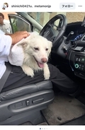 ロケ中に保護した迷子犬、SNS拡散で飼い主発見　お見送り芸人しんいちが報告
