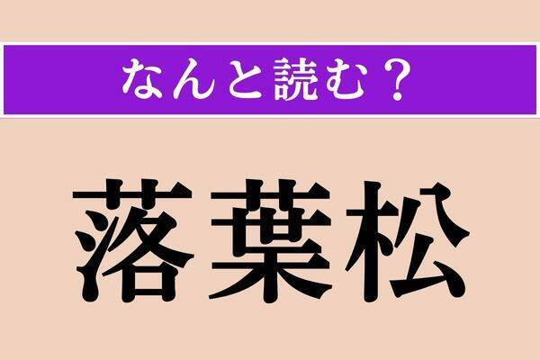 【難読漢字】「落葉松」正しい読み方は？ 読みの難しい落葉樹です