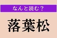 【難読漢字】「落葉松」正しい読み方は？ 読みの難しい落葉樹です