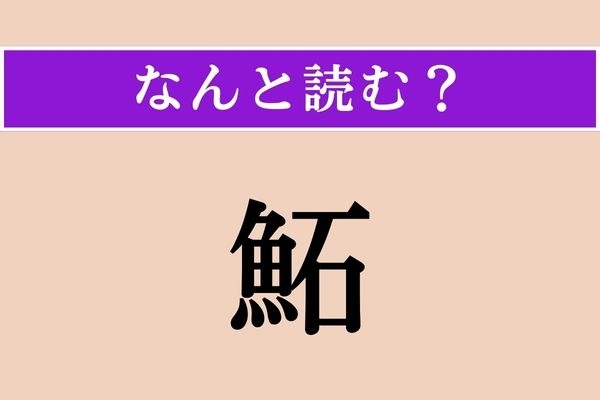 【難読漢字】「鮖」正しい読み方は？ どの魚だろう…