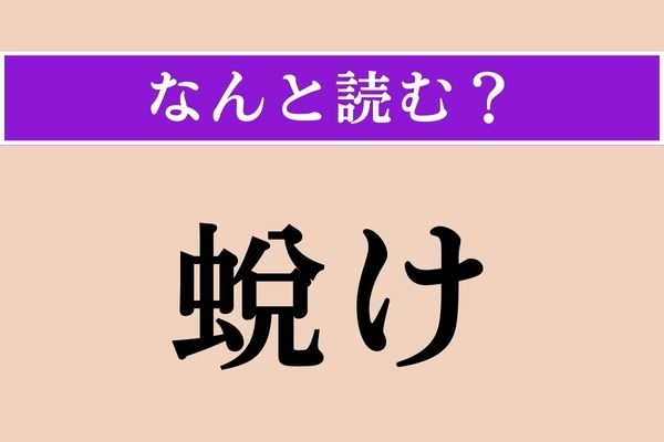 【難読漢字】「蛻け」正しい読み方は？ 何もなくなった状態です