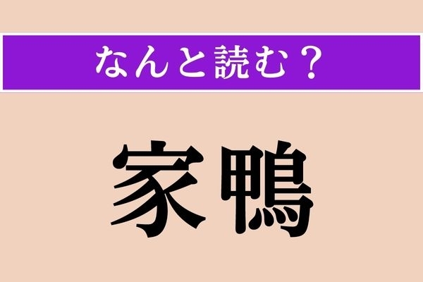 【難読漢字】「家鴨」正しい読み方は？「鴨」は「かも」ですが…