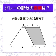 【図形問題】グレーの部分の面積を求めよ！＜Vol.727＞