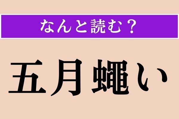 【難読漢字】「五月蠅い」正しい読み方は？「煩い」とも書きます