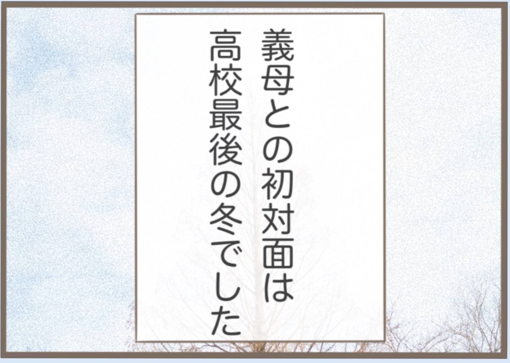 彼の母が私を見てひと言「好みじゃない」 数年にわたる壮大な戦いが始まる！【漫画】
