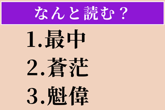 【難読漢字】「最中」「蒼茫」「魁偉」読める？