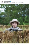 小平奈緒、実家の稲刈りを手伝い「コダイライス2025」収穫