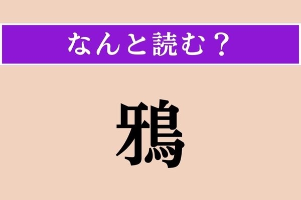 【難読漢字】「鴉」正しい読み方は？ どの鳥だろう…