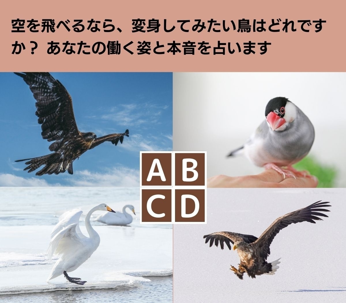 【心理テスト】鳥になって占うあなたの変身願望