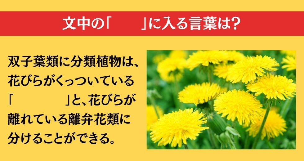 大人ならわかる？ 小学校の「理科」問題＜Vol.104＞