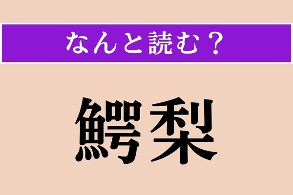 【難読漢字】「鰐梨」正しい読み方は？ 料理によく使われる果物の漢字表記です