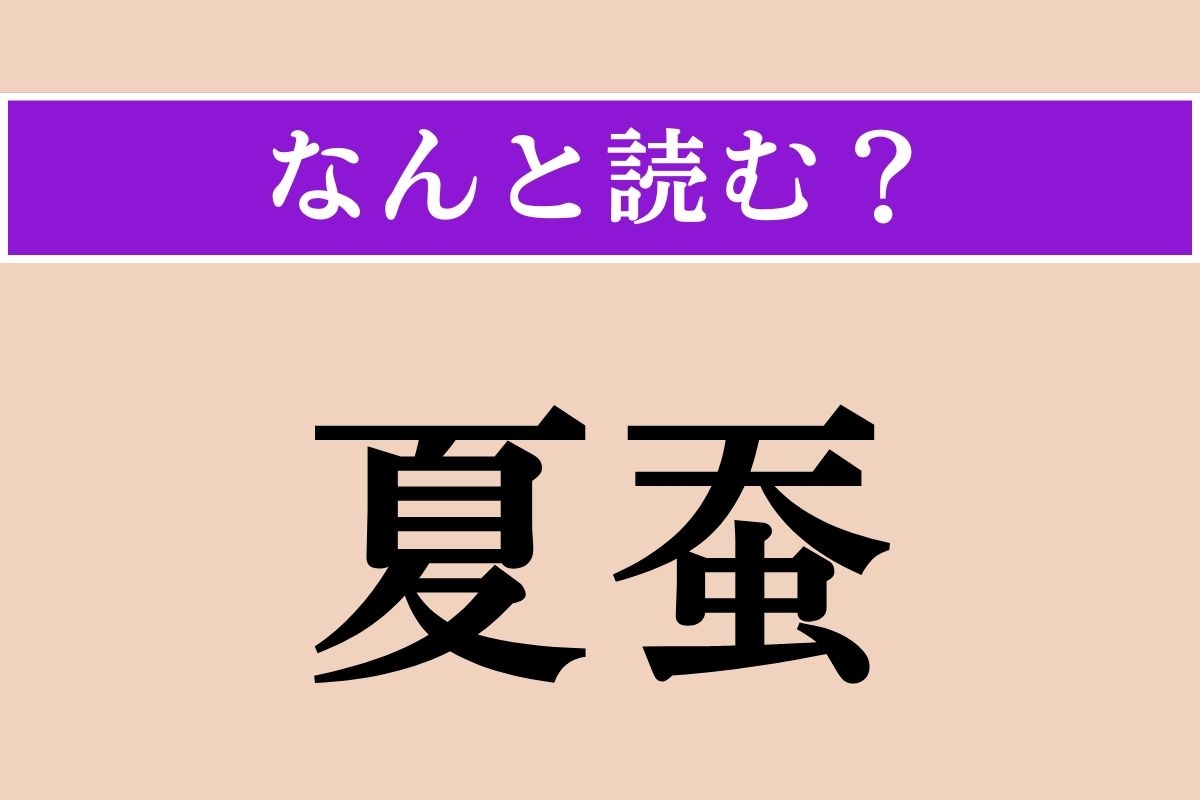 【難読漢字】「夏蚕」正しい読み方は？「春蚕」「秋蚕」もいます