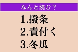 【難読漢字】「撥条」「責付く」「冬瓜」読める？