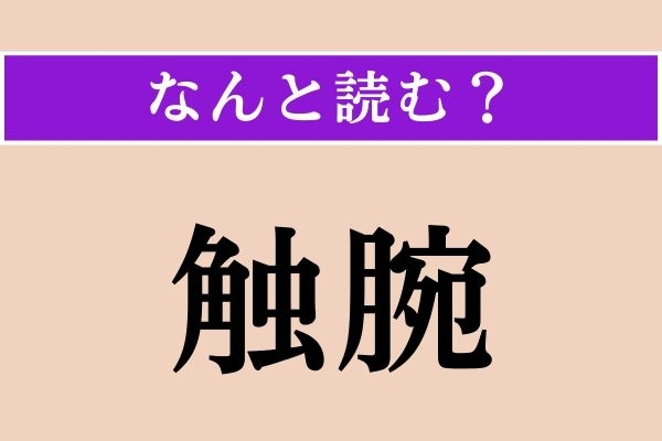 【難読漢字】「触腕」正しい読み方は？ タコには無くて、イカにあります