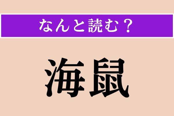 【難読漢字】「頌春」「摯実」「海鼠」読める？