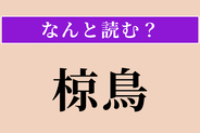 【難読漢字】「椋鳥」正しい読み方は？ 夕方に群れで騒がしく鳴く鳥です