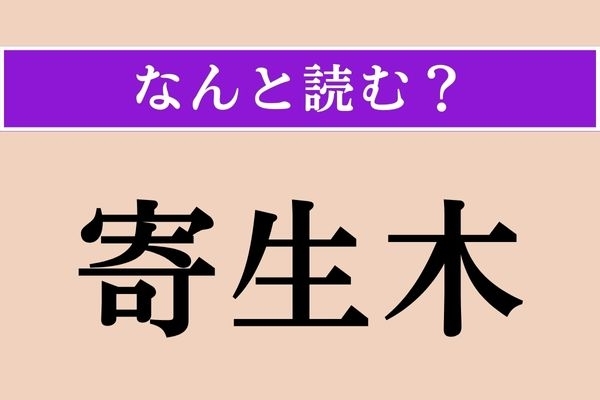【難読漢字】「寄生木」正しい読み方は？ 「寄生虫」の「寄生」ですが…