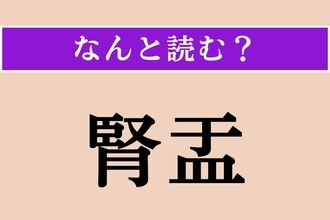 【難読漢字】「腎盂」正しい読み方は？ 腎臓の深部にある空洞組織のことです