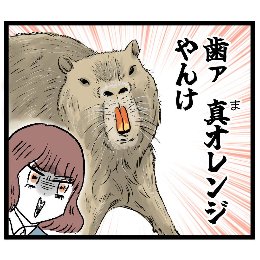 カピバラに似てる…!? 新人の悪口攻撃にルナが反撃！