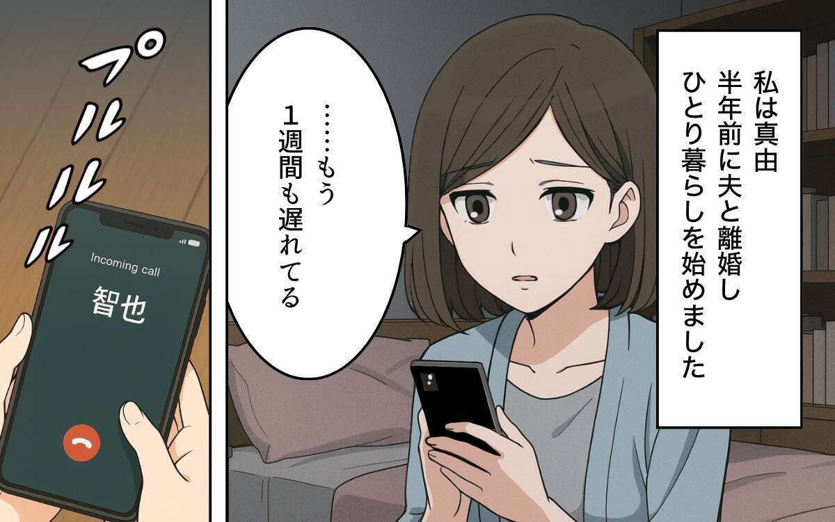 「お前のほうが悪質だ！」と浮気の証拠を突き付けてきた!? 離婚後も妻を振り回す面倒な元夫【漫画】