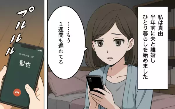 「「お前のほうが悪質だ！」と浮気の証拠を突き付けてきた!? 離婚後も妻を振り回す面倒な元夫【漫画】」の画像