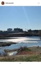 大和田獏、202年を振り返り「充実した一年だった」 一方で兄との別れも経験