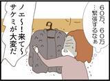 「「私が悪いの…？」ボヤ騒ぎを起こした義妹をかばう夫に、ノエが感じた限界とは【漫画】」の画像15
