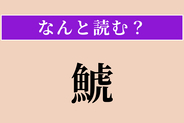 【難読漢字】「鯱」正しい読み方は？「殺人鯨」とも書きます