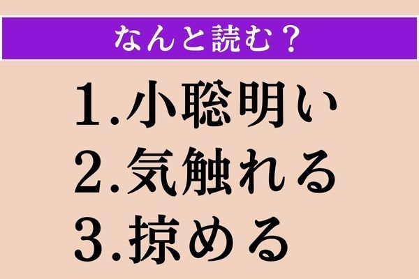 【難読漢字】「小聡明い」「気触れる」「掠める」読める？