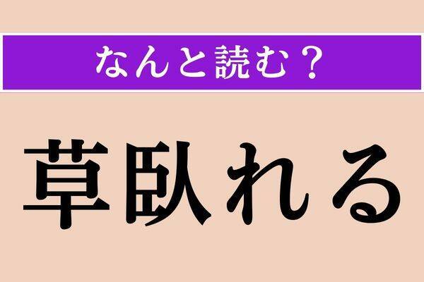 【難読漢字】「蘿蔔」正しい読み方は？ 春の七草の一つです