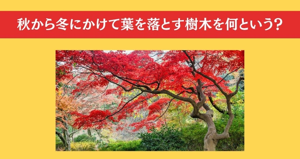 大人ならわかる？ 小学校の「理科」問題＜Vol.74＞
