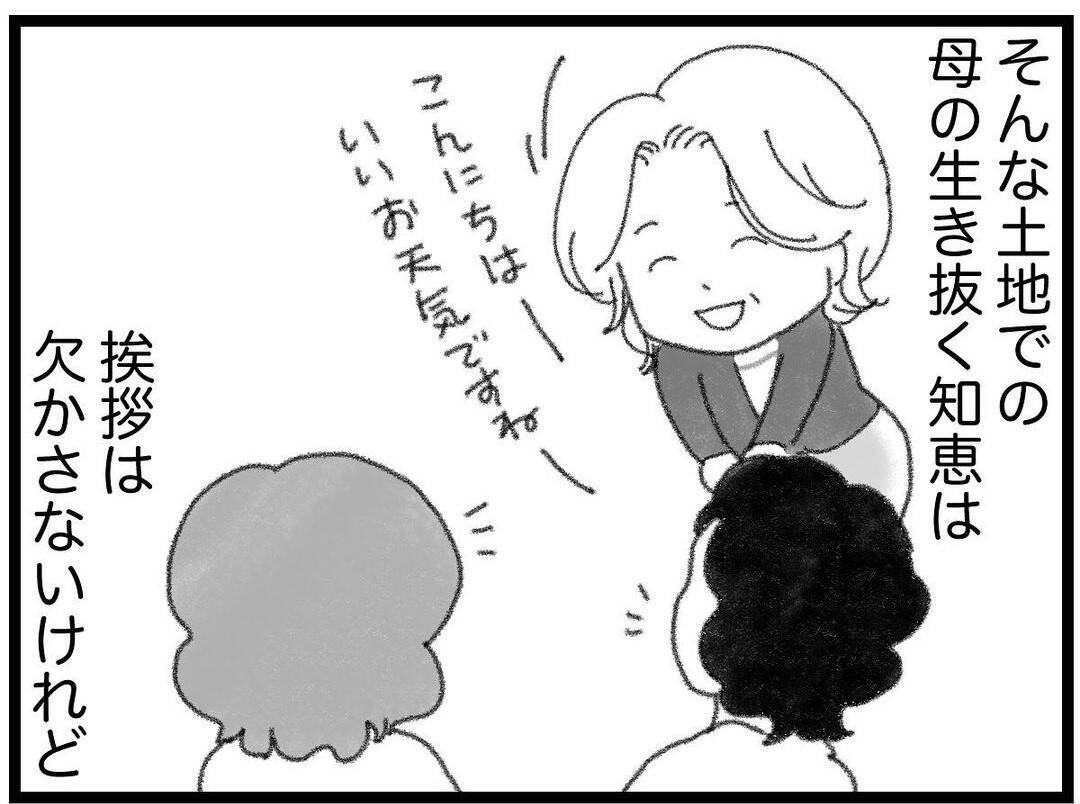 【漫画】そんな土地で両親は地域の人とうまく付き合っていた【16歳で帰らなくなった弟 Vol.17】