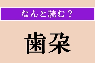 【難読漢字】「歯朶」正しい読み方は？ 植物です